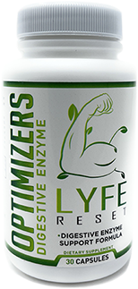 Optimizer